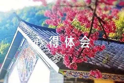 制定篮球交流计划以促进个人技能发展的方法_2